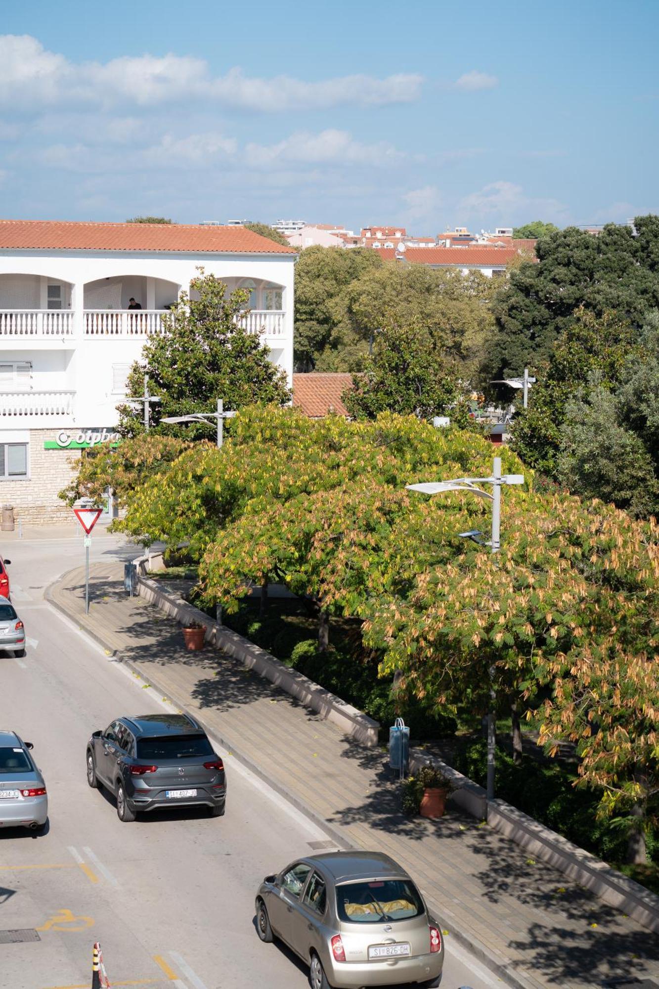 Centar Apartment *